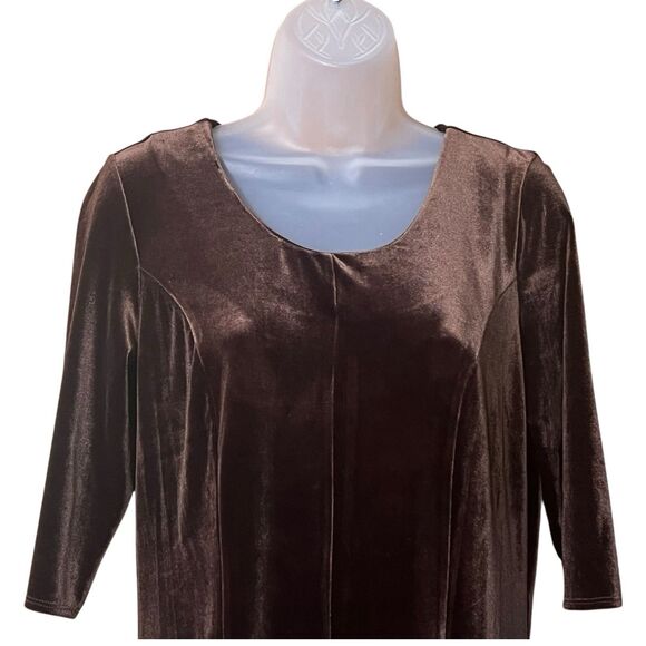 Chadwick's of Boston Brown Velvet Maxi Dress Sz M Fairy Forest Whimsigoth Castle - Picture 14 of 16